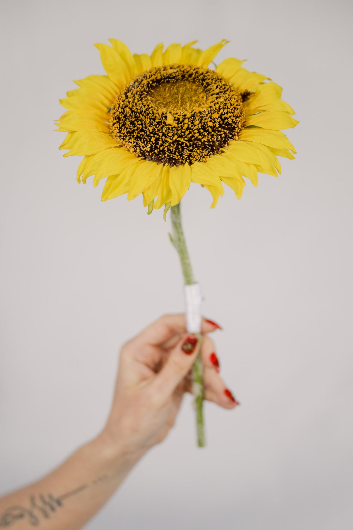 Hello Sunshine - Bridesmaid Single Stem
